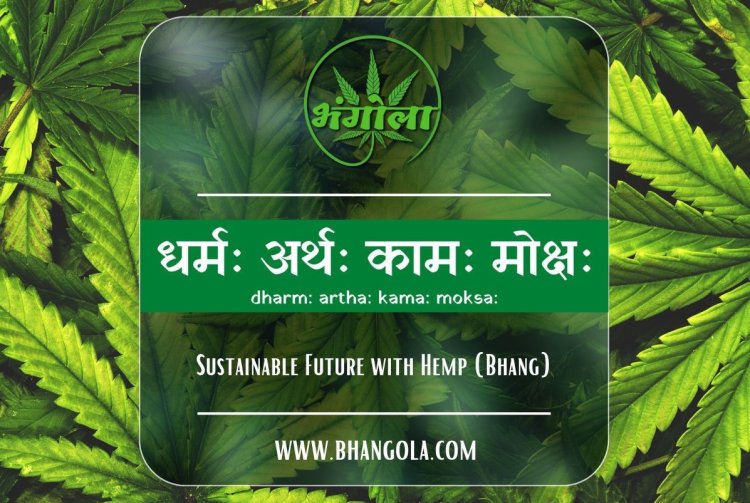 "The Rise of Hemp: How this Sustainable Plant is Changing the Game"